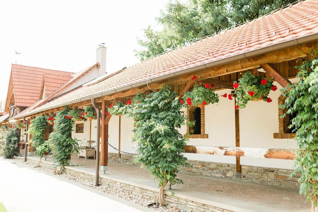 Pension Zwicker Preszów Zewnętrze zdjęcie